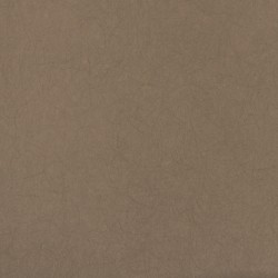 Обои Bernardo Bartalucci Legend 5068-16