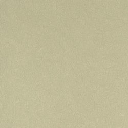 Обои Bernardo Bartalucci Legend 5068-52